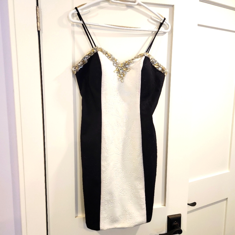 Terani Couture Evening Dress